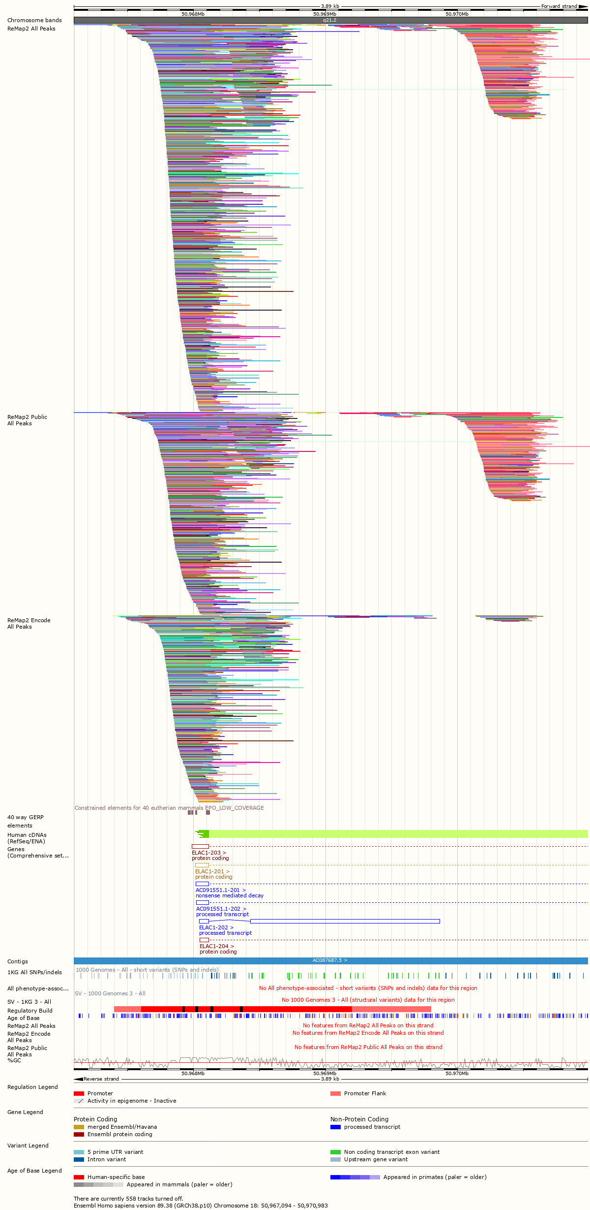 Track Hub on Ensembl